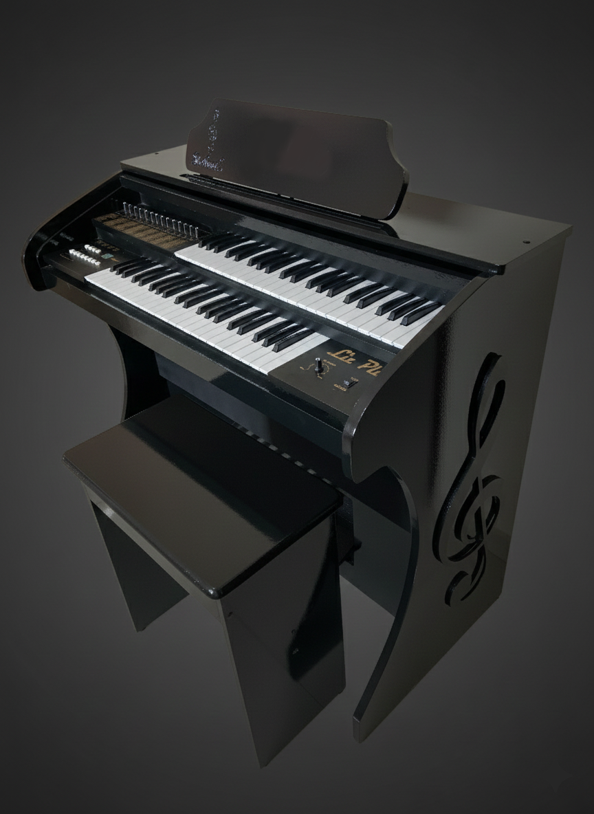 Órgão Rohnes Liz Plus Preto