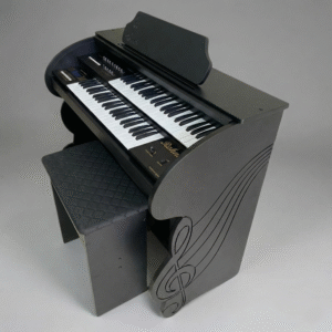 Órgão Rohnes RS40 Preto